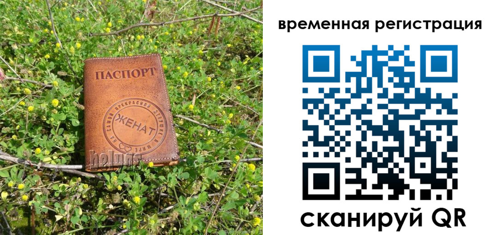прописка регистрация в Сухиничи